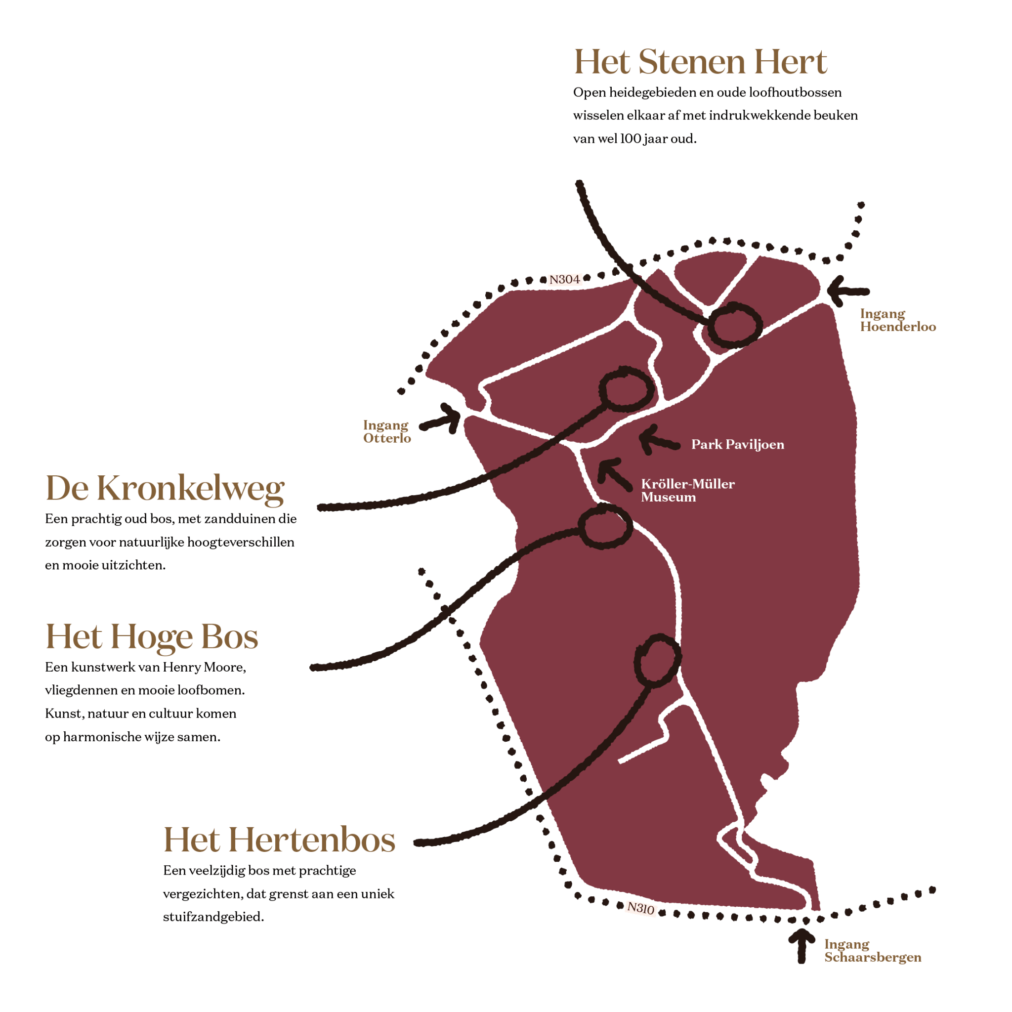 Natuurwens Nederland Het Nationale Park De Hoge Veluwe